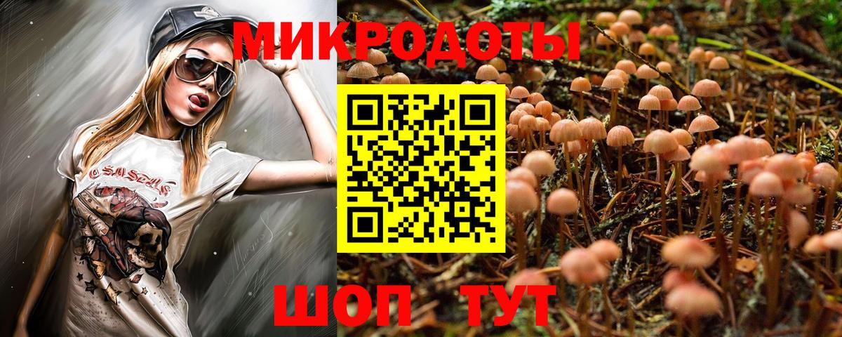 Чернушка  Псилоцибиновые грибы Cubensis  Вход с VPN  Галлюциногенные грибы GOLDEN TEACHER 